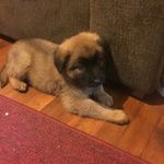 Aiden.Doran - @aiden.doran1 - Instagram