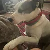 Aiden Douglas - @aiden.douglas2 - TikTok