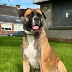 Aiden Douglas - Facebook
