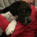 Aiden Douglass - @aiden__douglass - Instagram