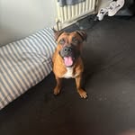 Aiden Duffy - @aidenarchieduffy - Instagram