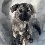 Aiden Duncan - Facebook