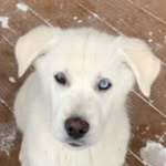 Aiden Dupuis - @aiden.dupuis.980 - Instagram