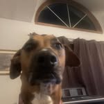 Aden Durbin - @durbinaden - Instagram