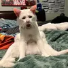 Ayden_Durbin - @ayden_durbin - TikTok