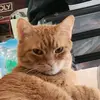 koolkicks - @aiden.durbinski - TikTok