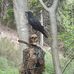 Aiden Dwyer - Facebook