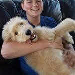 Aiden Dyer - @aidennick03 - Instagram