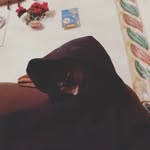 Athlete - @aidendyer2027 - Instagram
