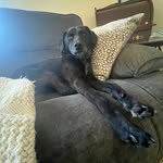 Aiden Degnan - @eastshoreaiden - Instagram