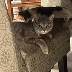 Aiden Elmore - Facebook