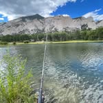 Aiden Elmore - @aiden_elmore64 - Instagram