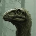 Aiden McElmeel - @aidenmackelmore - Instagram
