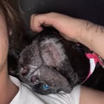 Aiden Erickson - @aidenericksn - Instagram