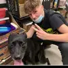 Aiden Ferguson - @aidenferguson1269 - TikTok