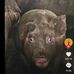 Aidan Field - Facebook