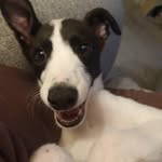 Aiden Field - @aidenfield2 - Instagram