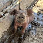 Aiden Fields - Facebook