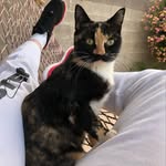 Aiden Fitzpatrick - @fitisbitis - Instagram