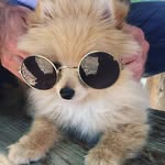 Aiden Fleming - @gtarocks254 - Instagram