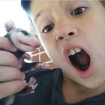 aiden_loves_herping - @aidenfleming - Instagram