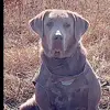 Aiden lan Floyd - @aiden.floyd1 - TikTok