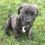 Aiden Foster - @aiden.foster_10 - Instagram