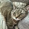 aiden.foster_41 - @aiden.foster - TikTok