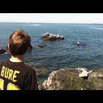 Aiden - @aiden_fox - Instagram
