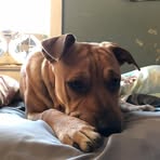 Aiden Friedman - Facebook