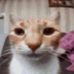 Aiden Goldberg - Facebook