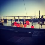 Aiden_Goodwin_11 - @aiden_goodwin_11 - Instagram