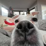 Aiden Gordon - Facebook