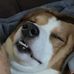 Ayden Gross - Facebook