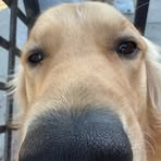 Aiden Guzman - Facebook