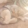 Aiden Guzman - @aiden6365436 - TikTok