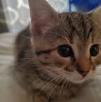 Aiden Hancock - Facebook