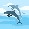 Aiden Haney - @aiden.haney28 - TikTok
