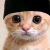 Aiden Haney - @aiden.haney0 - TikTok