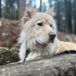 Aiden Hansen - @aidenhansen19 - Instagram
