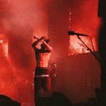 Aiden - @aiden.harding14 - Instagram