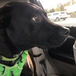 Aiden Harper - @aidenharper___ - Instagram