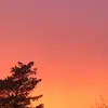 Ayden Harper - @ayden.harper - TikTok