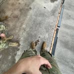 Aiden Hart - Facebook