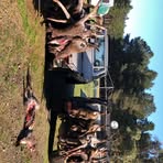 Aiden Harvey - Facebook