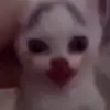aiden.has.an.account - @aiden.has.an.account - TikTok