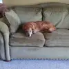 AidenHatcher - @aiden.ipop - TikTok