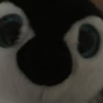 Aiden Hebert - @mr.pengwin - Instagram