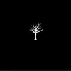 Aiden Hendricks - @aiden.hendricks8 - TikTok