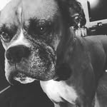 Aiden Henry - @aiden.henry2006 - Instagram